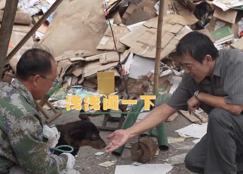 海外华人看爱奇艺卡顿问题频发?地区限制与缓冲太慢的实用解决方案来了