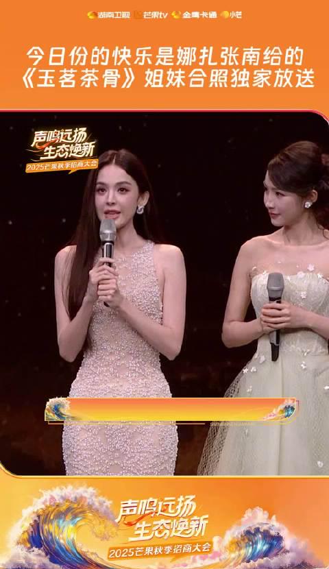 海外华人追剧攻略:轻松解除地区限制,畅享国内热门影视综艺