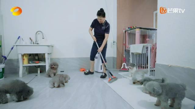 海外华人如何轻松解除中国大陆影视音乐综艺地区限制