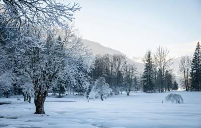 海外党福音!3招教你解锁网易云音乐,告别加载失败与歌词不同步