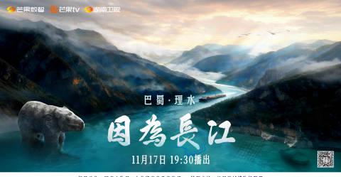 海外华人必看!3招解决爱奇艺地区限制,轻松追《因为长江》等国内纪录片