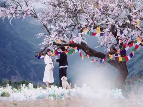 海外华人如何轻松解除中国大陆影视音乐地区限制