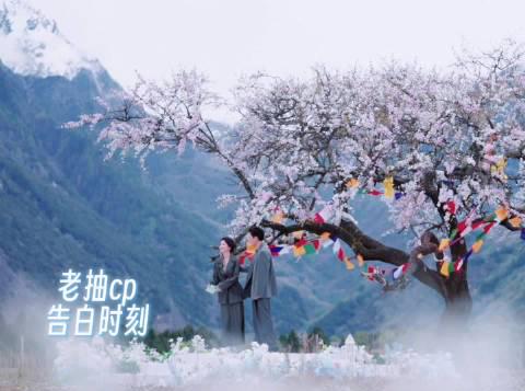 海外华人必看!3招解决爱奇艺地区限制,追剧不再卡顿