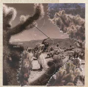 海外党福音!3招搞定网易云音乐地区限制,Veegee新歌《泰迪熊仙人掌》随心听