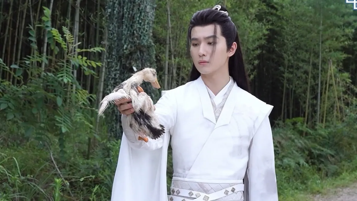 海外华人如何轻松解除地区限制,畅享国内热门影视剧