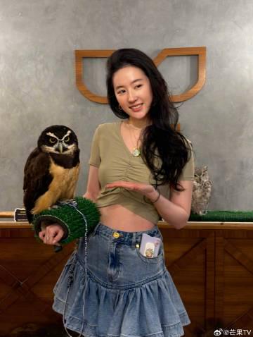 海外华人轻松解锁大陆影音限制:告别卡顿,畅享神仙姐姐的松弛感