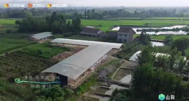 海外华人轻松解锁芒果TV等平台,畅享《因为长江》等国内热门节目