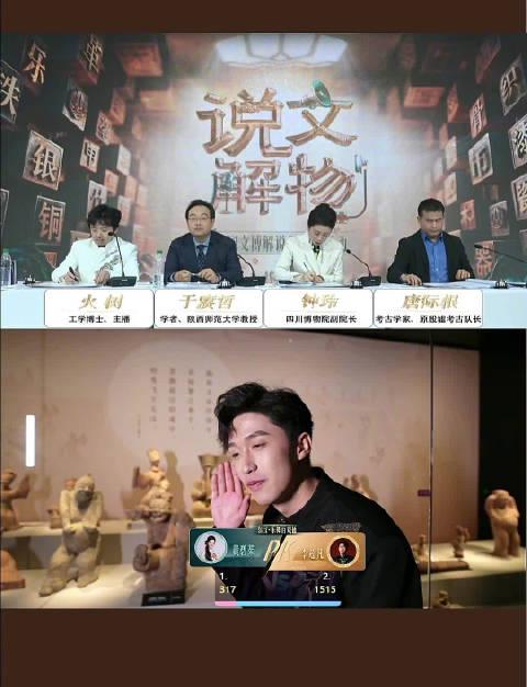 海外华人轻松解除地区限制:畅享国内影视综艺全攻略