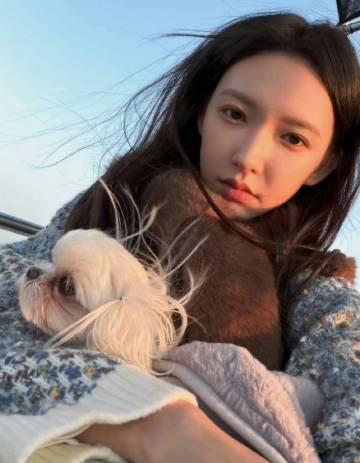 海外追剧党看过来!一招解决爱奇艺、腾讯视频“地区限制”烦恼