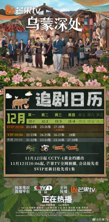 海外华人如何轻松解除地区限制,畅享国内热门影视综艺节目