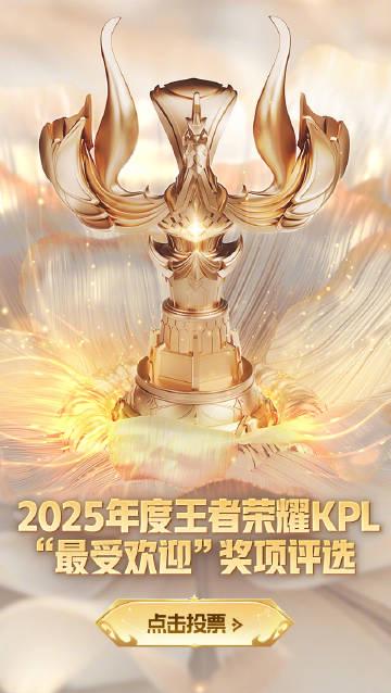 海外华人看KPL投票也犯难?别急,先解决你的地区限制问题再为选手打call