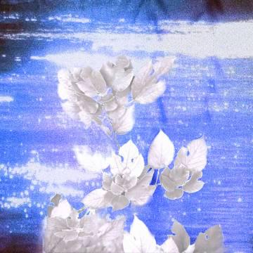 人在国外,汽水音乐突然打不开?别急,这招亲测有效!